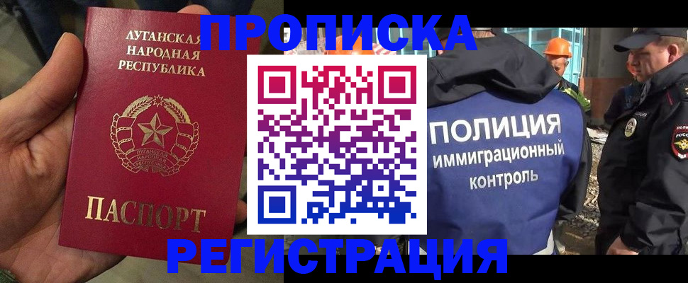 прописка поиск в Химках